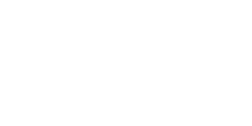 CMS italy logo