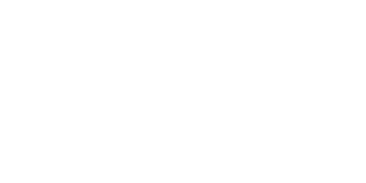 BorgWarner logo