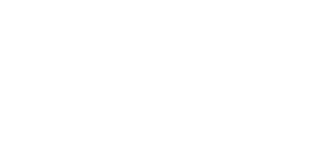 bic logo